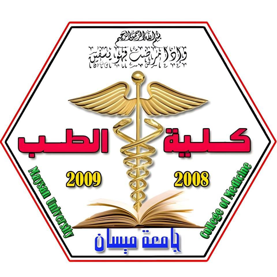 جامعة ميسان